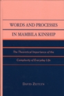 Words and Processes in Mambila Kinship : The Theoretical Importance of the Complexity of Everyday Life - Book