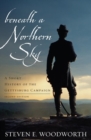 Beneath a Northern Sky : A Short History of the Gettysburg Campaign - eBook