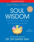 Soul Wisdom : Practical Treasures to Transform Your Life - eAudiobook
