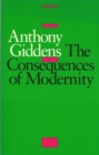 The Consequences of Modernity - eBook