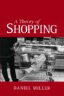 A Theory of Shopping - eBook