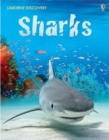 Discovery Sharks - Book