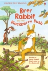 Brer Rabbit and the Blackberry Bush - Book