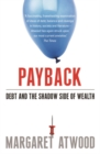 Payback : Debt and the Shadow Side of Wealth - Book