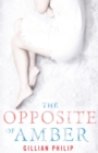 The Opposite of Amber - Book