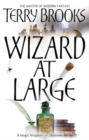 Wizard At Large : Magic Kingdom of Landover Series: Book 03 - eBook