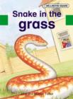Wellington Square Assessment Kit - Snake in the Grass - Book