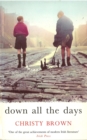 Down All The Days - Book