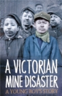 Survivors: A Victorian Mine Disaster: A Young Boy's Story - Book