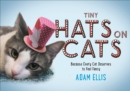 Tiny Hats on Cats - eBook