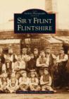 Flintshire/Sir y Fflint - Book