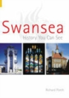 Swansea : History You Can See - Book
