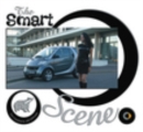 The Smart Scene - Book