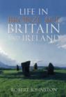 Life in Bronze Age Britain and Ireland - Book