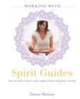 Working with: Spirit Guides - Book