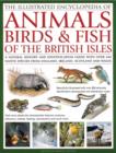 Illustrated Encyclopedia of Animals, Birds and Fish of the British Isles - Book