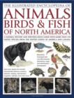 Illustrated Encyclopedia of Animals, Birds and Fish of North America - Book