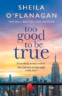Too Good To Be True : A feel-good read of romance and adventure - eBook