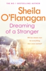 Dreaming of a Stranger : An unputdownable novel of hopes and dreams  and love - eBook