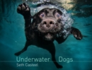 Underwater Dogs - eBook