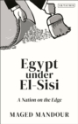 Egypt under El-Sisi : A Nation on the Edge - eBook