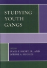 Studying Youth Gangs - eBook