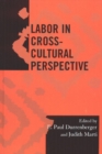 Labor in Cross-Cultural Perspective - eBook