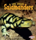Salamanders - eBook