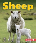 Sheep - eBook