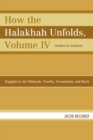 How the Halakhah Unfolds : Hagigah in the Mishnah, Tosefta, Yerushalmi, and Bavli - Book