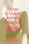 Serious and Violent Juvenile Offenders : Risk Factors and Successful Interventions - Book