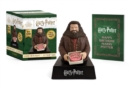 Harry Potter: Hagrid with Harry’s Birthday Cake (“You’re a Wizard, Harry”) : With Sound! - Book
