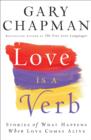 Love is a Verb - Stories of What Happens When Love Comes Alive - Book