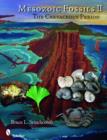 Mesozoic Fossils II : The Cretaceous Period - Book