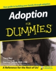Adoption For Dummies - Book
