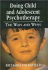 Doing Child and Adolescent Psychotherapy : The Ways and Whys - Book