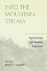 Into the Mountain Stream : Psychotherapy and Buddhist Experience - Book