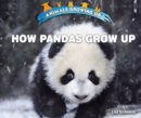 How Pandas Grow Up - eBook