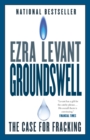 Groundswell - eBook