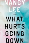 What Hurts Going Down - eBook