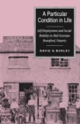 A Particular Condition in Life : Self-Employment and Social Mobility in Mid-Victorian Brantford, Ontario - Book