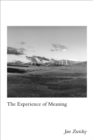 The Experience of Meaning - eBook