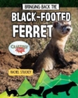 Bringing Back the Black-Footed Ferret - Book