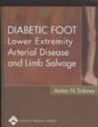 Diabetic Foot : Lower Extremity Arterial Disease and Limb Salvage - Book