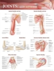 Joints of the Upper Extremities Anatomical Chart - Book