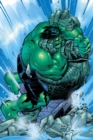 Incredible Hulk: Past Perfect - Book