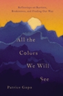 All the Colors We Will See : Reflections on Barriers, Brokenness, and Finding Our Way - Book