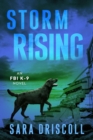 Storm Rising - eBook