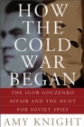 How the Cold War Began - Book