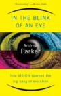 In The Blink Of An Eye : How Vision Sparked The Big Bang Of Evolution - eBook